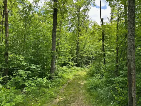 tbd Tamarac Rd, Onamia, MN 56353 photo 28