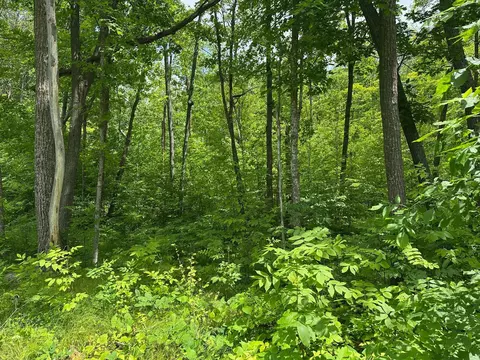 tbd Tamarac Rd, Onamia, MN 56353 photo 38