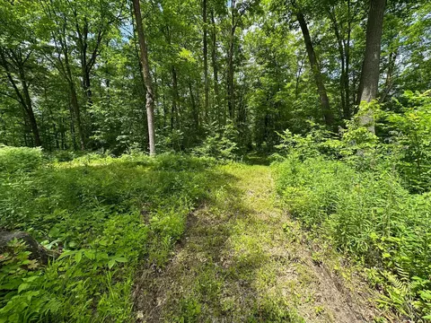 tbd Tamarac Rd, Onamia, MN 56353 photo 22