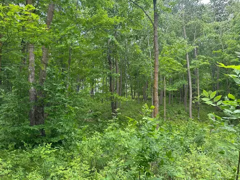 tbd Tamarac Rd, Onamia, MN 56353 photo 42