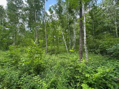 tbd Tamarac Rd, Onamia, MN 56353 photo 46