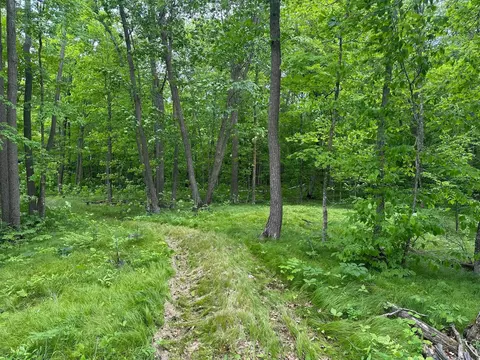 tbd Tamarac Rd, Onamia, MN 56353 photo 39