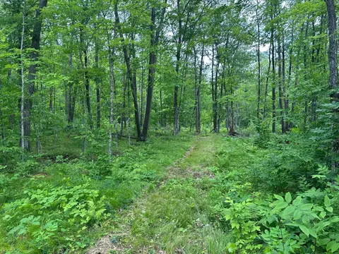 tbd Tamarac Rd, Onamia, MN 56353 photo 35