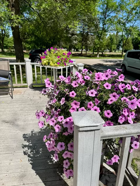 Exterior - 413 3rd Ave SE, Baudette, MN 56623 photo 2 of 3
