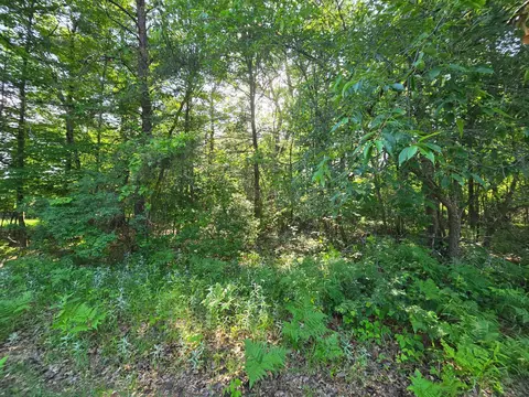 lot2 N 3 N Nelson N, Grantsburg, WI 54840