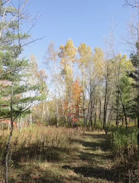 3040 330th Ave, Kroschel Twp, MN 55037