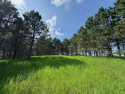 75 Hines Rd NE # A, Hines, MN 56647