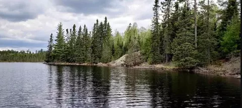 tbd Elbow Lk N, Beatty Twp, MN 55723