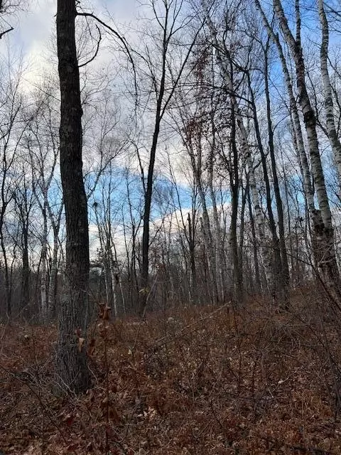 77 Acres Wickline Ln, Crosslake, MN 56442