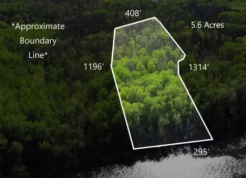 lot11 Tbd Driftwood Ln NW, Baudette, MN 56623