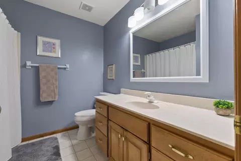9685 Trillium Ct N, Champlin, MN 55316 photo 41