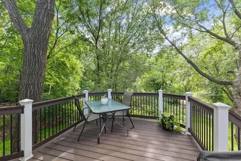 9685 Trillium Ct N, Champlin, MN 55316 photo 43