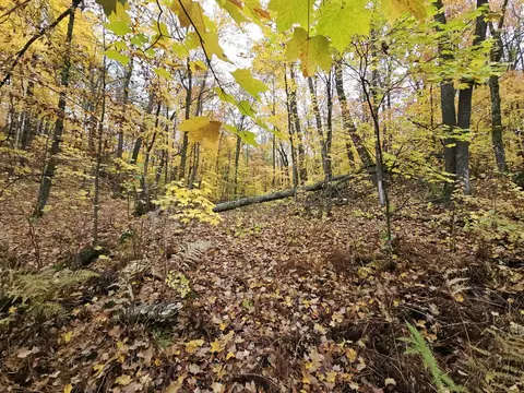 lot26 Block 1 Westward Ho, Garrison, MN 56450