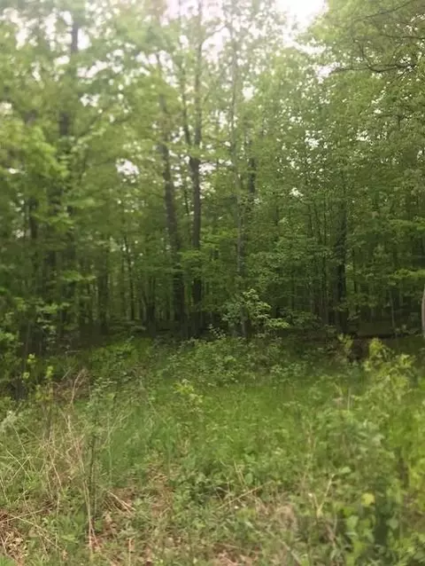 tbd Lot 10 Block 3, East Side Twp, MN 56342