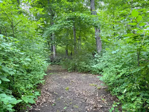 19288 328th Ave, Isle, MN 56342 photo 28