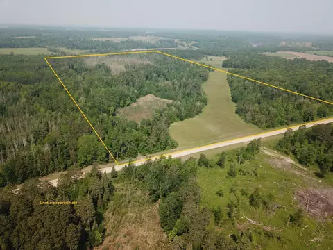 31519 243rd Ave, Moose Creek Twp, MN 56676