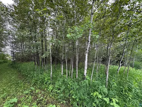3938 E 5th St, Superior, WI 54880 photo 3