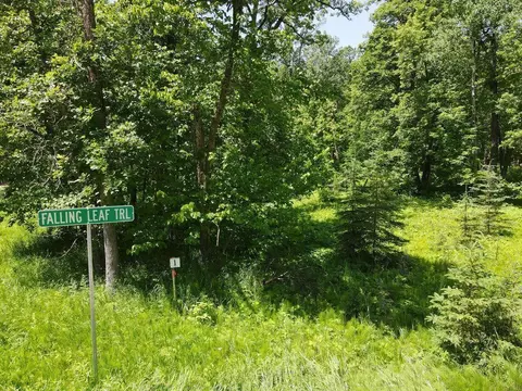 Abc Falling Leaf Trail, Park Rapids, MN 56470 photo 11