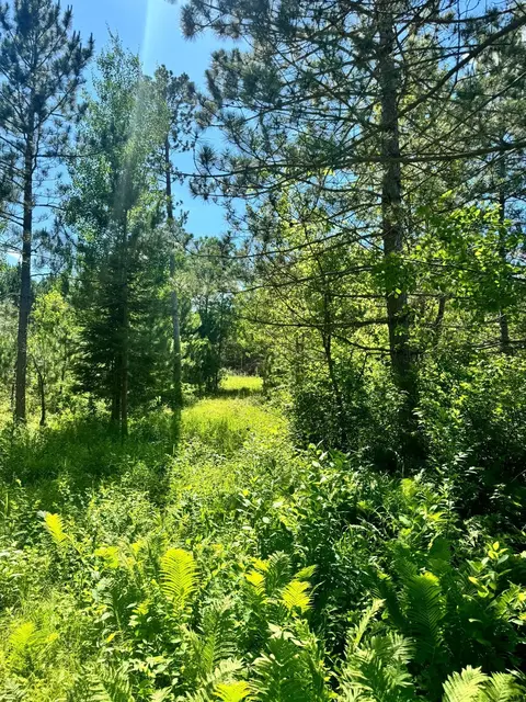 tbd Lot 5 Destination Dr, Nevis, MN 56467