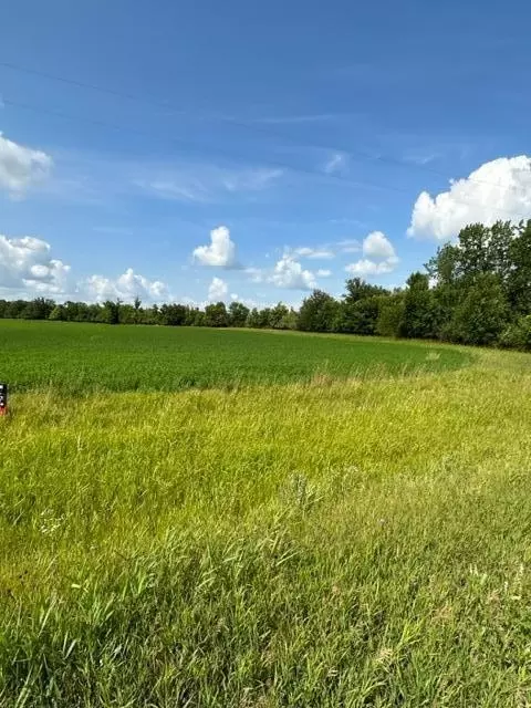 tbd Sorteberg Dr, Thief River Falls, MN 56701 photo 3