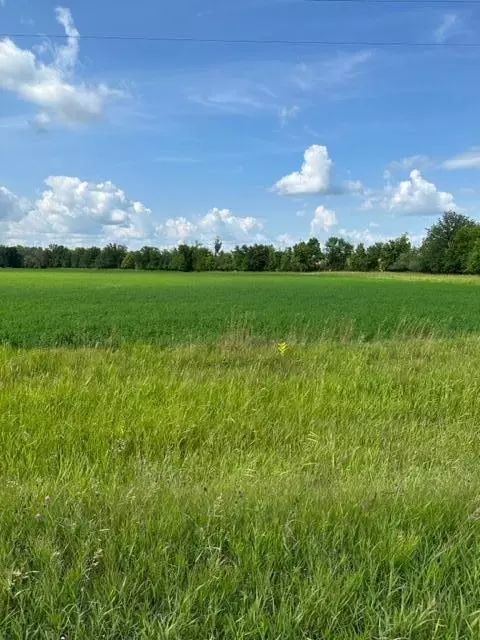 tbd Sorteberg Dr, Thief River Falls, MN 56701