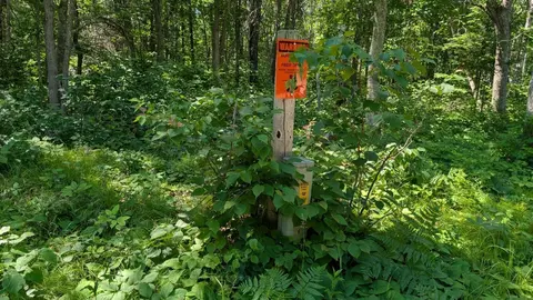 tbd 22nd St SW, Pine River, MN 56474 photo 3