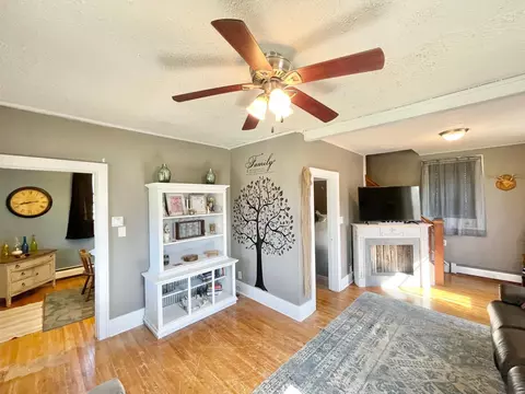 720 W Central St, Springfield, MN 56087 photo 15
