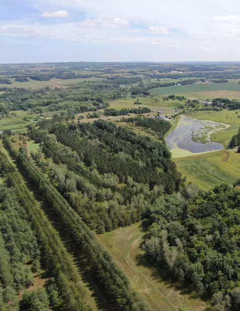 tbd 272nd St, Saint Martin Twp, MN 56362
