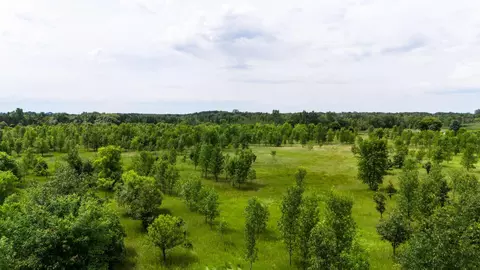 lot2 Rutten Ln NE, Carlos, MN 56319