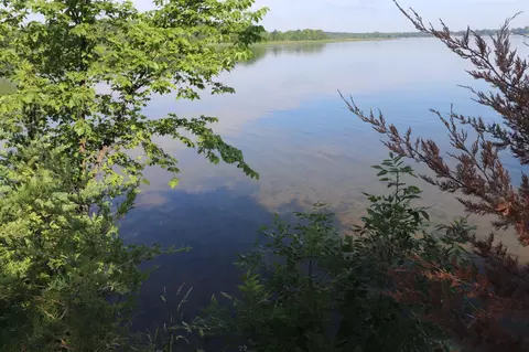 10284 Angler Dr, Grey Eagle, MN 56336 photo 8