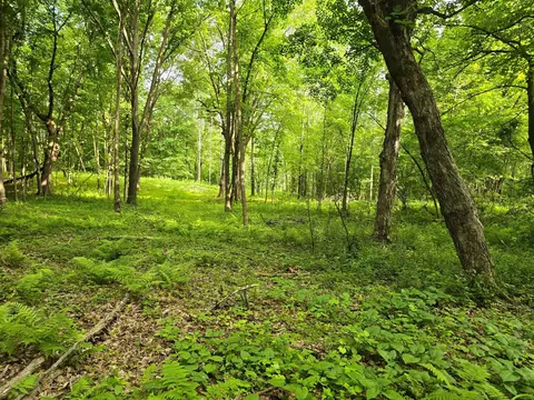 tbd 120th Ave, Balsam Lake Twp, WI 54001