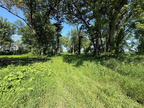 tbd 122nd Ave NE, Viola Twp, MN 55934 photo 23