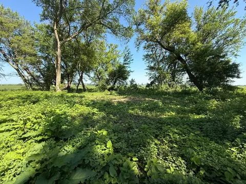 tbd 122nd Ave NE, Viola Twp, MN 55934 photo 27