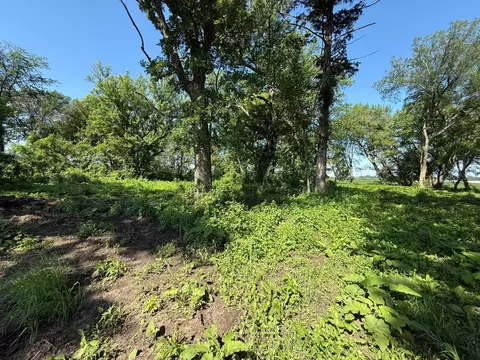 tbd 122nd Ave NE, Viola Twp, MN 55934 photo 25