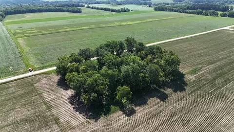 tbd 122nd Ave NE, Viola Twp, MN 55934 photo 19