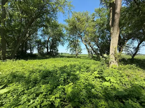 tbd 122nd Ave NE, Viola Twp, MN 55934 photo 29