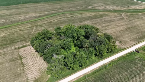 tbd 122nd Ave NE, Viola Twp, MN 55934 photo 2