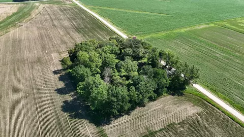 tbd 122nd Ave NE, Viola Twp, MN 55934 photo 4