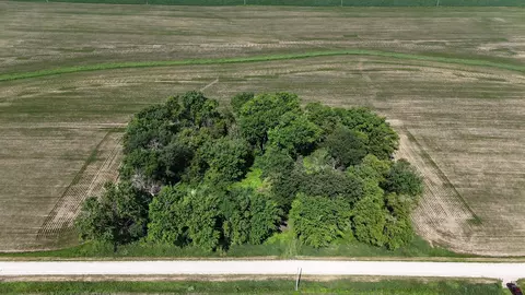 tbd 122nd Ave NE, Viola Twp, MN 55934