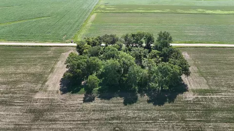 tbd 122nd Ave NE, Viola Twp, MN 55934 photo 5
