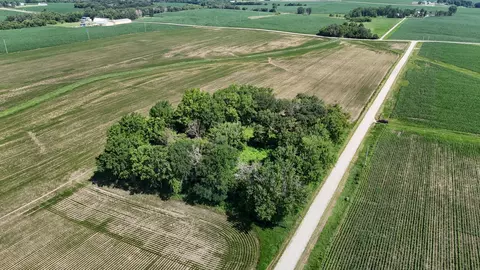tbd 122nd Ave NE, Viola Twp, MN 55934 photo 14