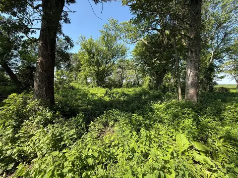 tbd 122nd Ave NE, Viola Twp, MN 55934 photo 26