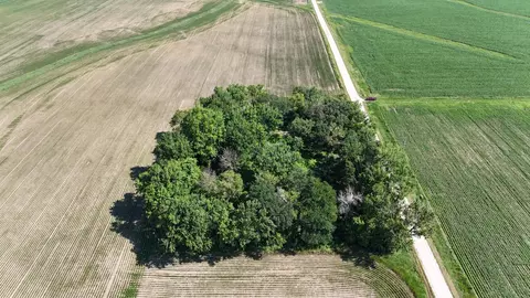tbd 122nd Ave NE, Viola Twp, MN 55934 photo 3