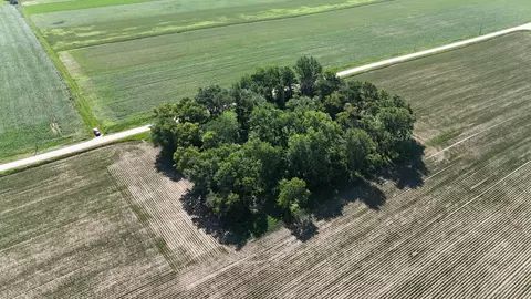 tbd 122nd Ave NE, Viola Twp, MN 55934 photo 6
