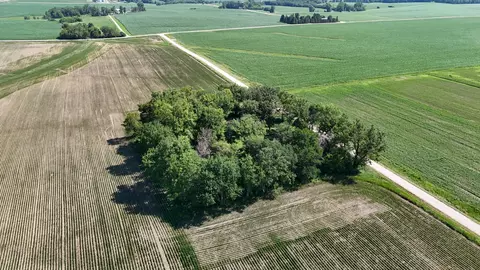 tbd 122nd Ave NE, Viola Twp, MN 55934 photo 16