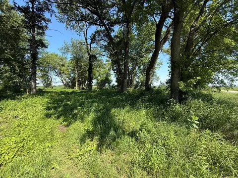 tbd 122nd Ave NE, Viola Twp, MN 55934 photo 24