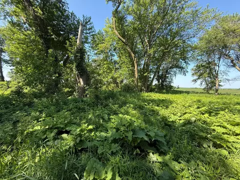 tbd 122nd Ave NE, Viola Twp, MN 55934 photo 28