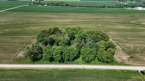 tbd 122nd Ave NE, Viola Twp, MN 55934 photo 12
