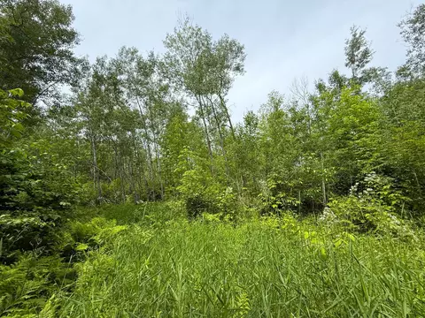 37920 170th Pl, Mcgregor, MN 55760 photo 40