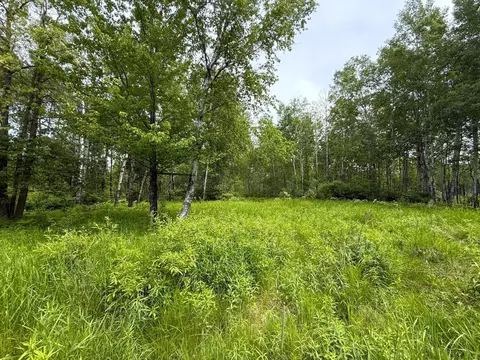 37920 170th Pl, Mcgregor, MN 55760 photo 47